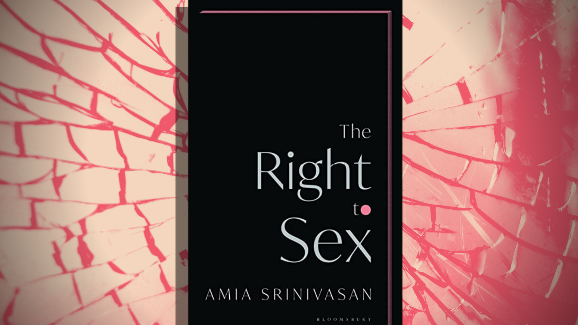 The Right To Sex A Lesson In Pragmatic Feminism