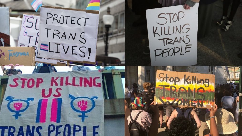 Breaking Down Claims of a "Trans Genocide"