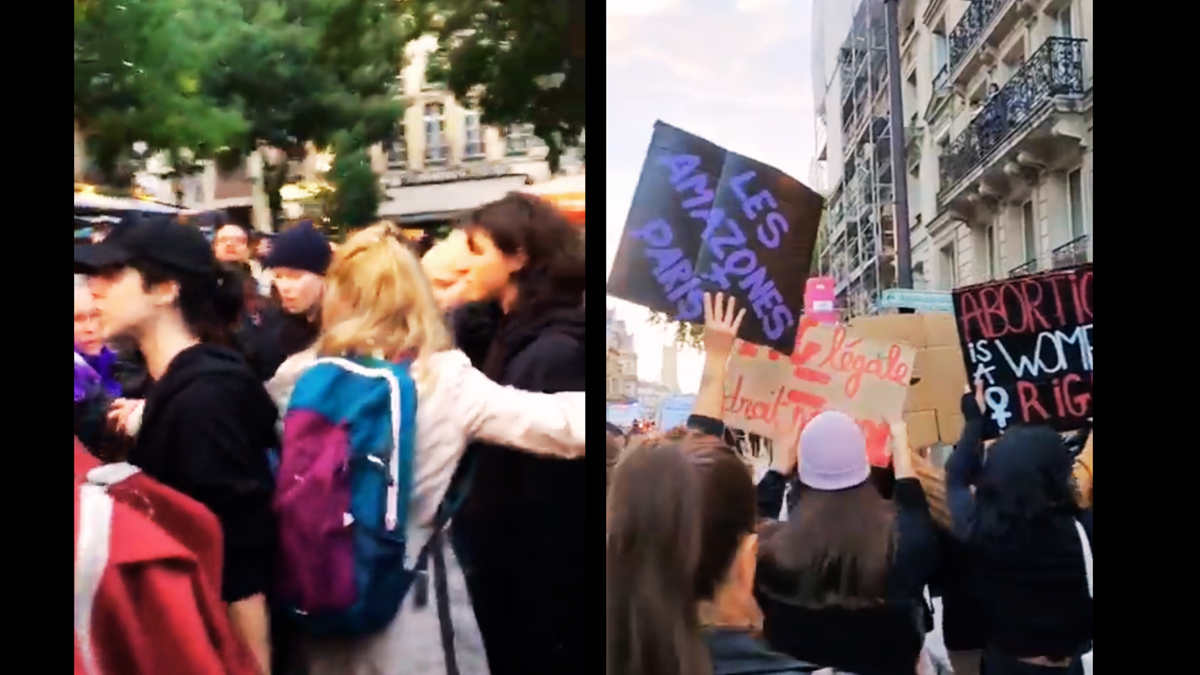 France: Women Marching for Abortion Assaulted by Trans Activists