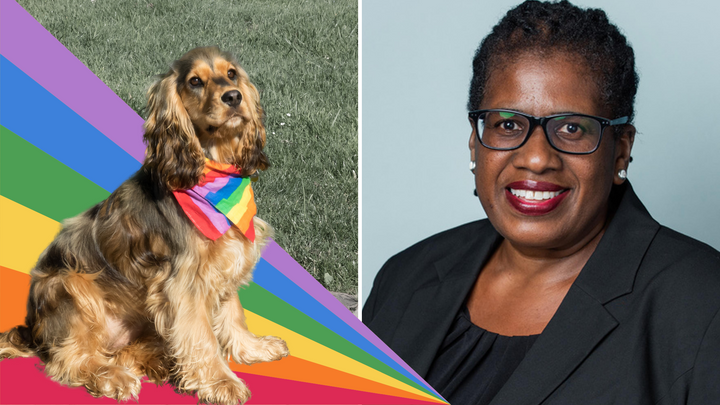 Stonewall 'Head of Trans Inclusion' Pauses Testimony For Support from Mom and Dog
